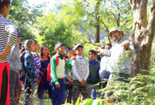 Forest Van Vibhag Vacancy