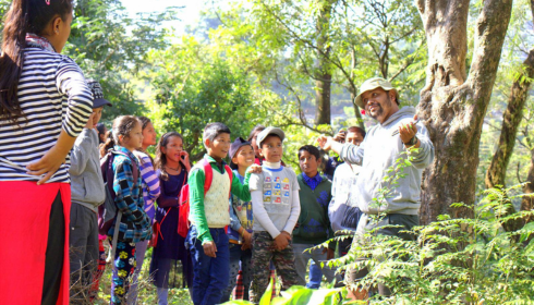 Forest Van Vibhag Vacancy