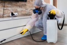 Pest Control Services