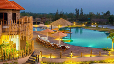 Sundarban tour